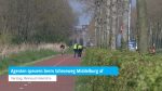 Agenten speuren berm Schroeweg Middelburg af