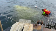 Gehuurde zeilboot gekapseisd bij Kortgene