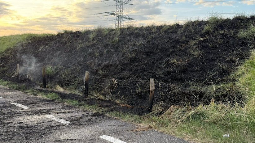 Een flink stuk dijkbegroeiing ging in vlammen op.