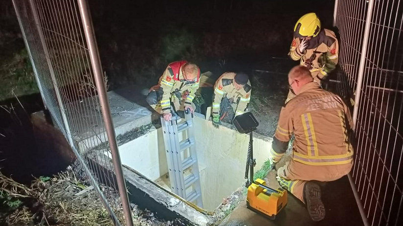 Het diertje lag in een rioolput bij De Roterij.