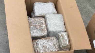 18 Kilo hasj aangetroffen in Vlissingse haven