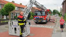 Brandweer ingezet voor dier in problemen 