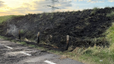 Dijkbegroeiing in brand bij Poortersweg Vlissingen