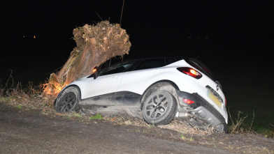 Automobilist overleden na botsing met boom in Breskens