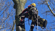 Rope Rescue Team Zeeland ingezet voor kat in boom