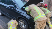 Kat maakt kilometerslange rit onder motorkap van auto