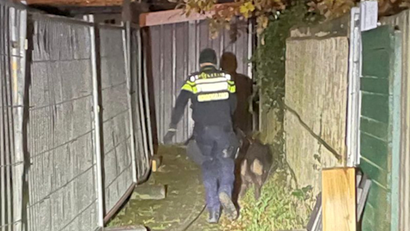 De politie zette een hond bij de zoektocht naar de verdachte.