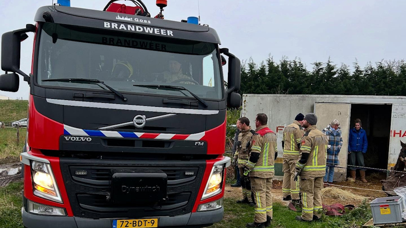 De brandweer kwam met twee voertuigen ter plekke om het dier te helpen.