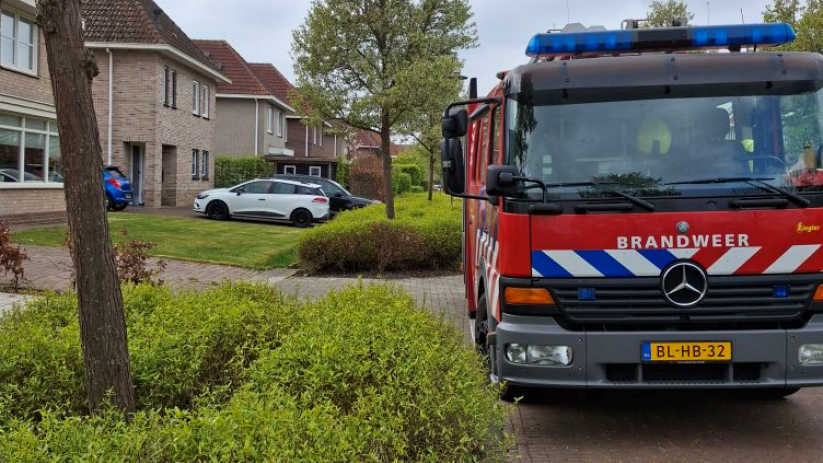 De brandweer van 's-Gravenpolder werd ingezet.
