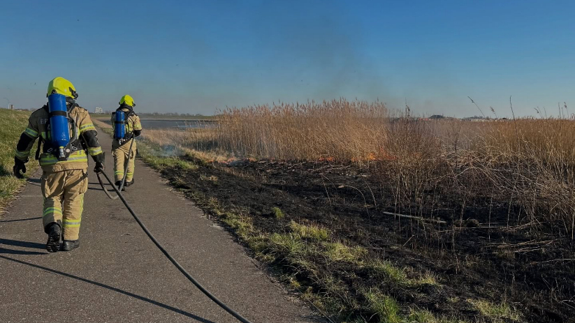 De brand in de rietkraag was snel onder controle.