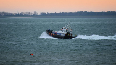 Alarm om zeezwemmers bij Boulevard Vlissingen