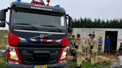 Brandweer helpt paard overeind bij Yerseke