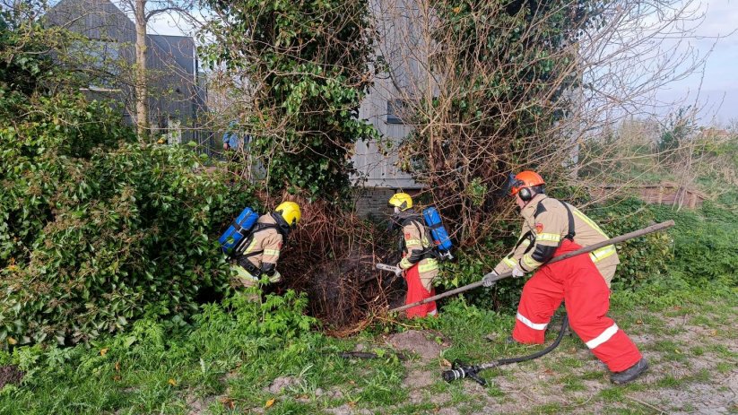De brand woedde in een bosschage.