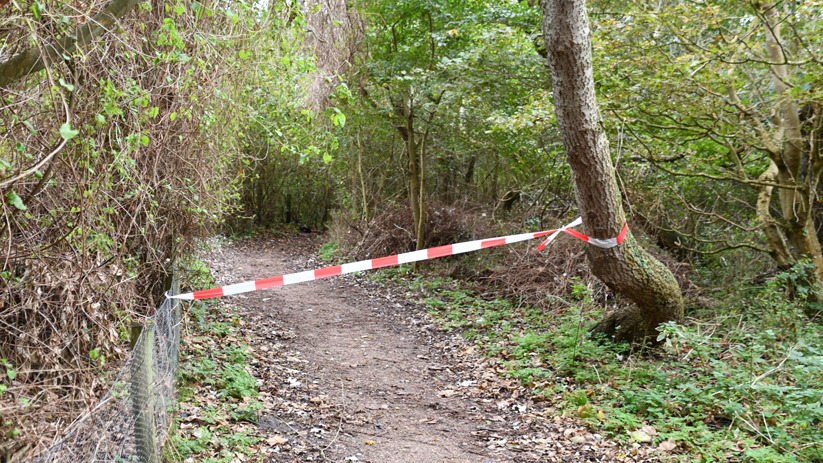 Het lichaam werd in de duinen aangetroffen.