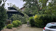 Omgevallen boom beschadigt gebouw in Goes