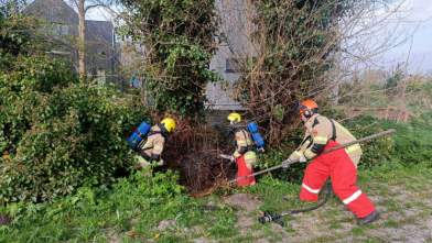 Brandje in begroeiing in Burgh-Haamstede