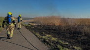 Rietkraag in brand bij Sint Philipsland