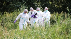 22 nieuwe tips over dode vrouw Westdorpe