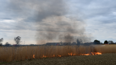 Zeer grote brand akker Biervliet, boerderij gespaard