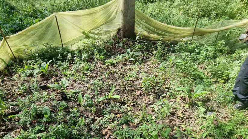 De politie hield ter plaatse drie mannen aan.