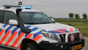 Drie honden ontsnapt in Breskens